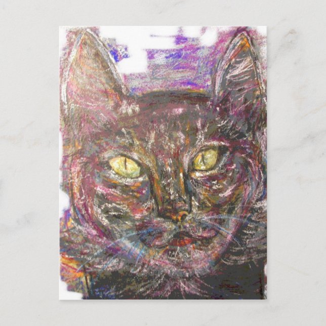 Cartão Postal gato grego colorido (Frente)