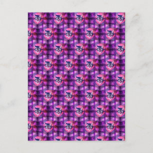 Cartão Postal gato iluminado