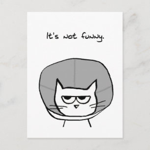 Cartão Postal Gato Irritado e Cone da Vergonha