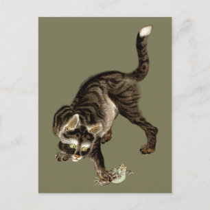 Cartão Postal Gato Japonês Apanhando um Sapo