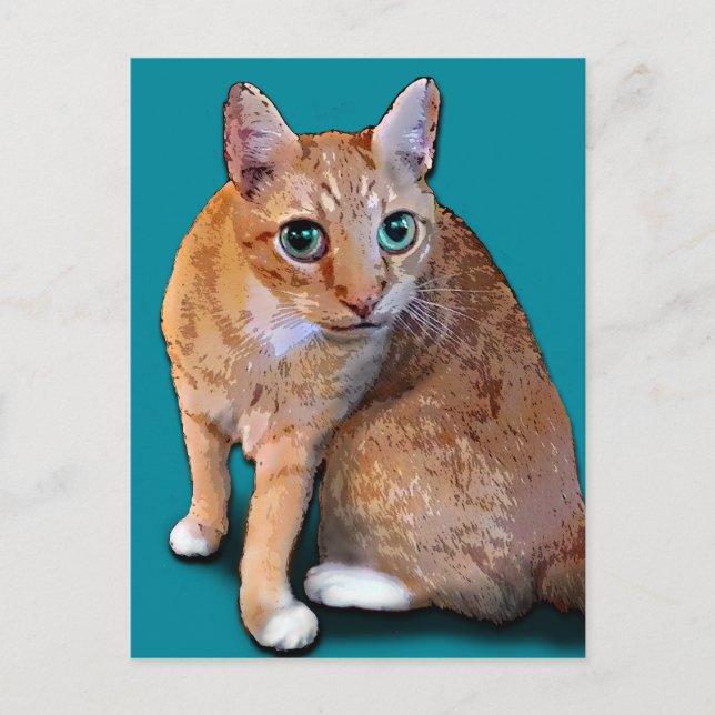 Cartão Postal Gato Laranja (Frente)