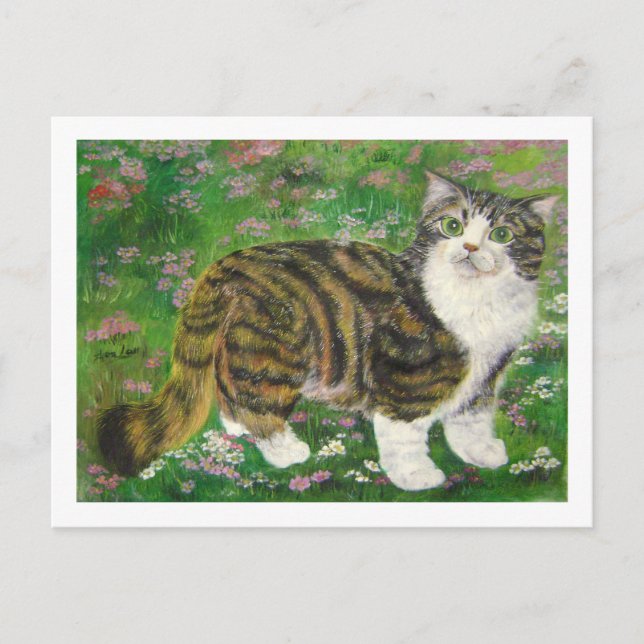 Cartão Postal gato lindo (Frente)