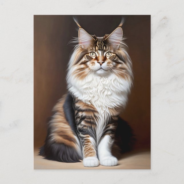 Cartão Postal gato lindo (Frente)