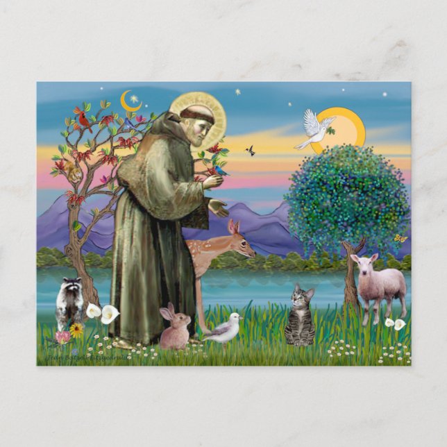 Cartão Postal Gato (Listrado 2) - São Francisco (Frente)