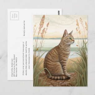 Cartão Postal Gato Listrado de Cavala na Postcard da Praia