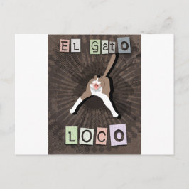 Cartão Postal Gato Louco