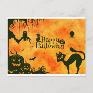 Cartão Postal gato malhado