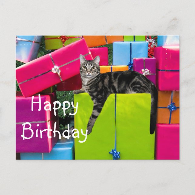 Cartão Postal Gato malhado aniversário (Frente)