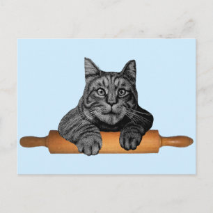 Cartão Postal gato malhado puro