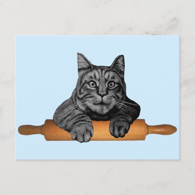 Cartão Postal gato malhado puro (Frente)
