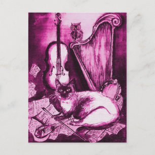 Cartão Postal GATO MUSICAL ,Rosa Violeta e Branco