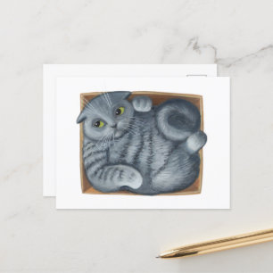 Cartão Postal Gato na caixa