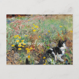 Cartão Postal Gato na Flor