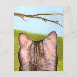 Cartão Postal Gato na janela