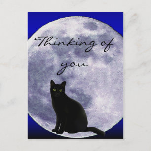 Cartão Postal Gato na Lua_