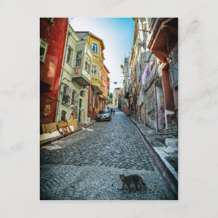 Cartão Postal Gato na rua de Istambul