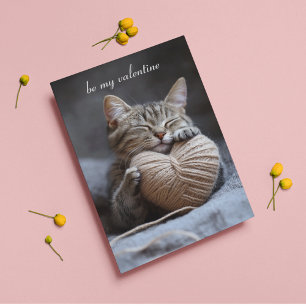 Cartão Postal gato namorados