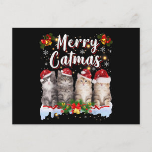 Cartão Postal Gato Natal Chapéu do Papai Noel Engraçado Feliz Ca