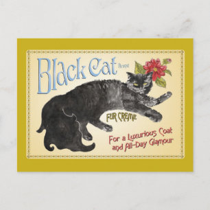 Cartão Postal Gato Negro