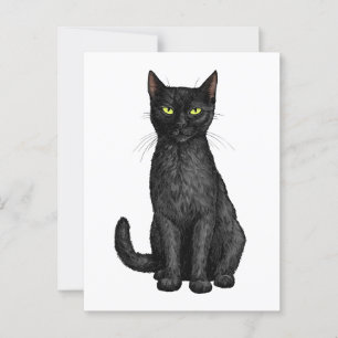 Cartão Postal Gato negro