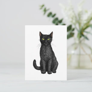 Cartão Postal Gato negro