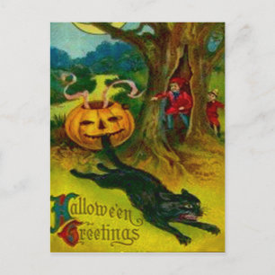 Cartão Postal Gato Negro