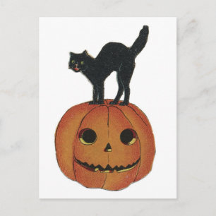 Cartão Postal Gato Negro e Jack-O-Lanterna do Halloween
