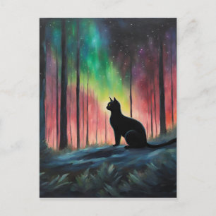 Cartão Postal Gato Negro e Luzes Nortes