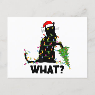 Cartão Postal Gato Negro Engraçado Puxando Árvore De Natal Por C