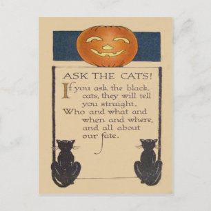 Cartão Postal Gato Negro Jack O' Lanterna Pumpkin