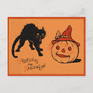 Cartão Postal Gato Negro Jack O Lanterna Pumpkin O Chapéu da Br