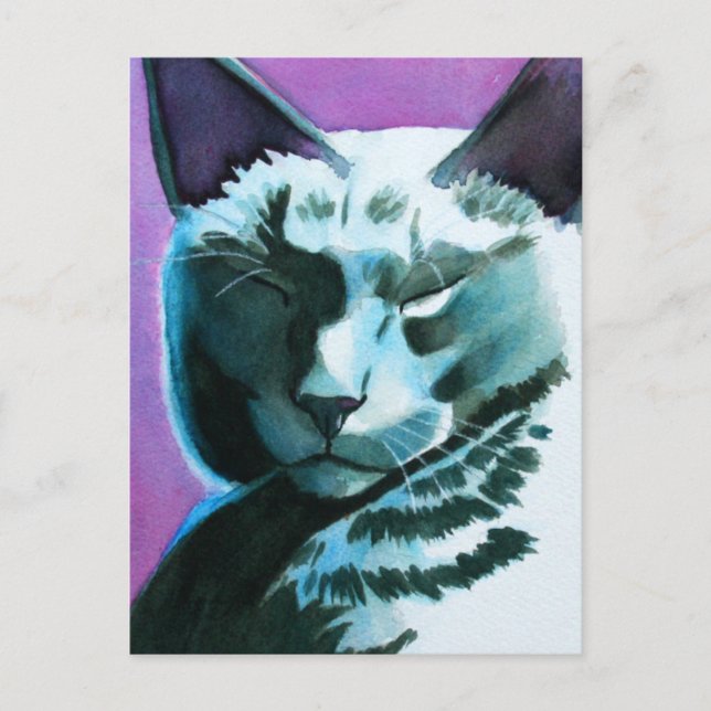 Cartão Postal Gato Negro Marina Regal (Frente)