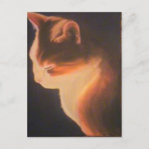 Cartão Postal Gato no escuro