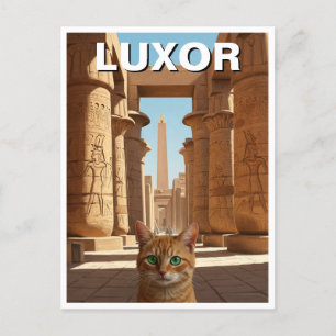 Cartão Postal Gato no Luxor Egito no Templo Karnak Viagem