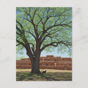 Cartão Postal Gato no México de Taos Pueblo