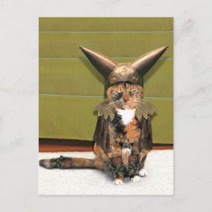 Cartão Postal Gato Nórdico Não é Amusado