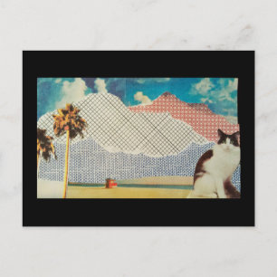 Cartão Postal Gato numa paisagem estranha