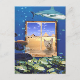Cartão Postal Gato Observando Peixes Sob O Mar