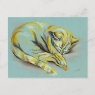 Cartão Postal Gato Pastel - Gatinho De Comprimido Dormindo