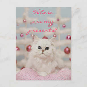 Cartão Postal Gato persa sentado no travesseiro rosa
