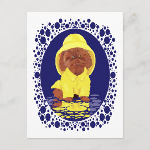 Cartão Postal Gato Persa Vermelho de Cabelo Longo Chuva de Abril