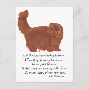 Cartão Postal Gato Persa Vermelho Ponte do Arco-íris