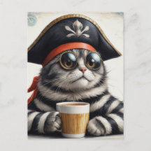 Gato pirata com café