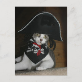 Cartão Postal Gato Pirata Engraçado