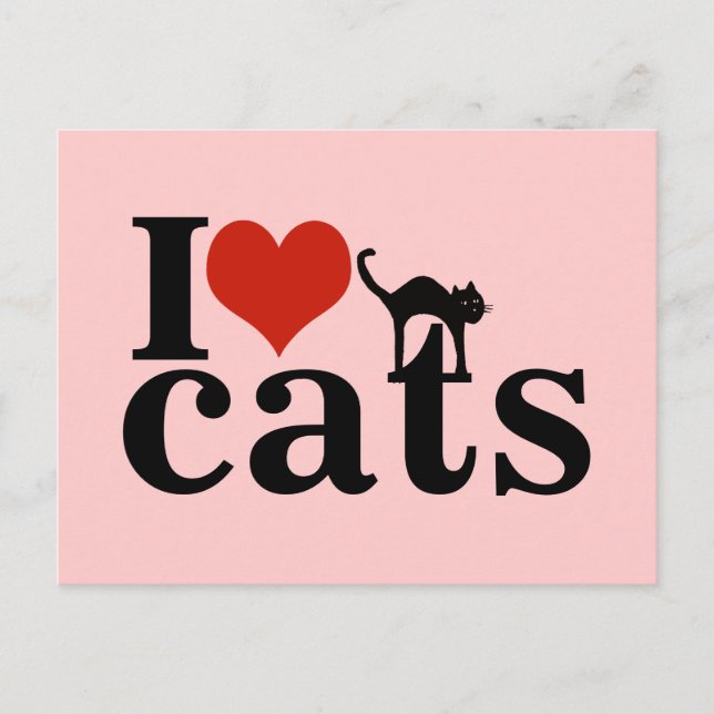 Cartão Postal gato preto (Frente)