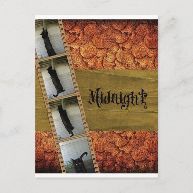 Cartão Postal Gato Preto (Frente)