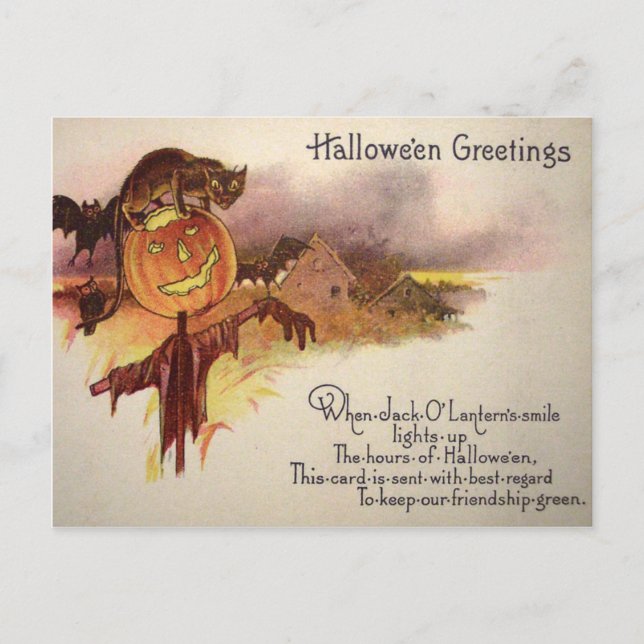 Cartão Postal Gato Preto Abóbora de Jack O' Lantern Morcego Coru (Frente)