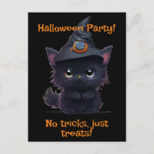 Gato preto branco e branco do Dia das Bruxas