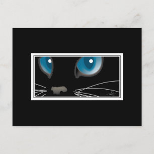 Cartão Postal Gato Preto com Olhos Azuis