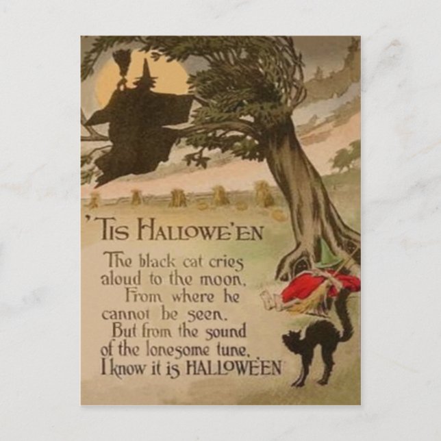Cartão Postal Gato Preto de Abóbora de Lua Cheia (Frente)